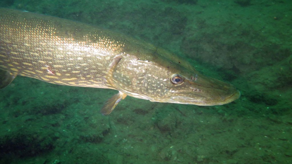 210724_La Gombe_54b.jpg